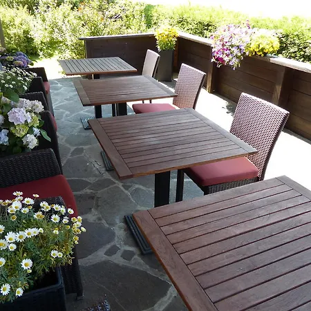 霍恩莱内家庭旅馆 罗伊特