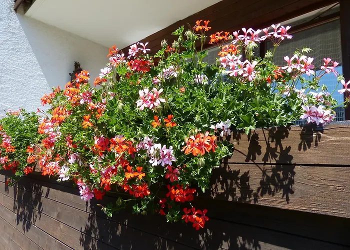 Πανσιόν Hohenrainer 3*